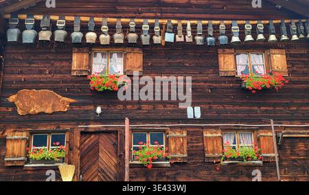 Primo piano di una tipica capanna alpina svizzera caratterizzata da legno bruciato scuro e intempestivo e molte grandi campane tradizionali appese alla facciata. Foto Stock