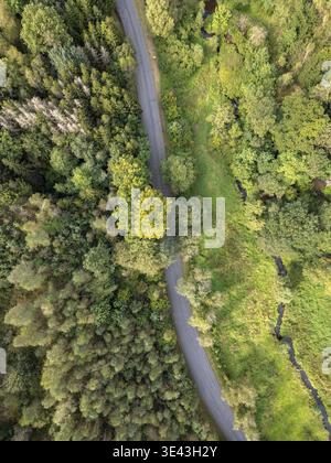 Una splendida ripresa aerea cattura una strada tortuosa aggraziatamente posizionata tra alberi verdi vibranti e natura serena Foto Stock
