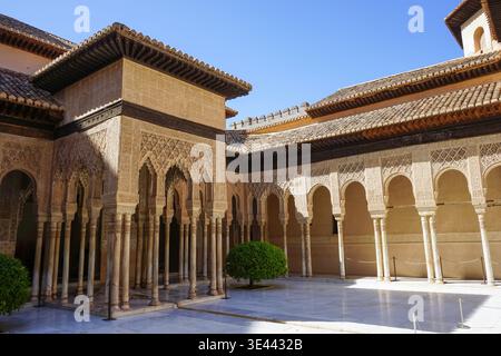 Court of the Lions / Patio de Los Leones in Alhambra, Granada, Spagna Foto Stock