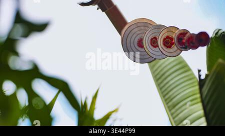 Decorazioni sospese tradizionali con motivi floreali rossi in un soleggiato giardino tropicale Foto Stock