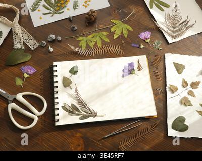 Creazione di erbario botanico con fiori viola pressati e foglie di felce essiccate in bozzetto. Spazio di lavoro creativo su un tavolo in legno rustico con bianco Foto Stock