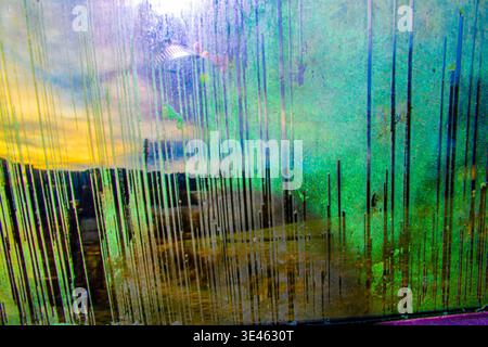 Opacizzato vetro costituisce linee simili a codici a barre, foto diventa verde Foto Stock