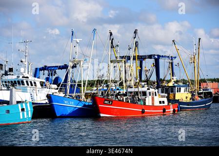 Barche da pesca colorate ormeggiate. Porto di Lauwersoog, Olanda, Europa Foto Stock