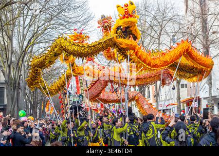 Francia, Parigi, sfilata cinese (o lunare) di Capodanno, danza del drago Foto Stock
