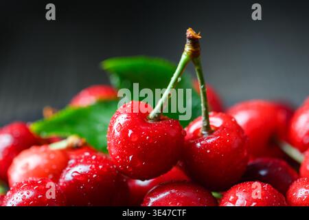 Ciliegie fresche con prospettiva ravvicinata e sfocatura morbida. Frutta fresca dolce con gocce d'acqua, luce naturale Foto Stock