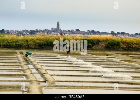 Marais Salants, Guerande, Bretagna, Francia. Foto Stock