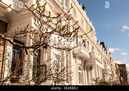 LONDRA - eleganti case vittoriane bianche con albero magnolia sulla soleggiata Fulham Road Street Foto Stock