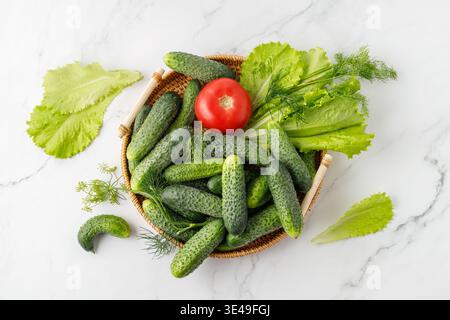Raccolta estiva di pomodori rossi freschi, piccoli cetrioli verdi, foglie di insalata di lattuga e rami di aneto in cesto di vimini su sfondo di marmo bianco. Sano Foto Stock