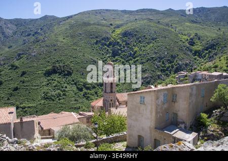 Le case del villaggio di Speloncato e il campanile della chiesa sono immersi nel verde dei monti corso, corsica, francia Foto Stock