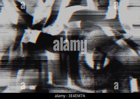 Distorsione monocromatica con texture Scanline glitch in bianco e nero Foto Stock