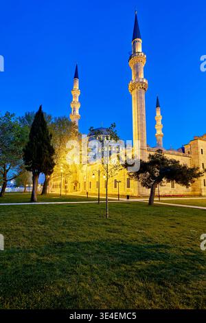 La Moschea Suleymaniye si erge in alto a Istanbul in Turchia di notte. L'architettura risplende sotto le luci, offrendo una vista delle sue cupole e dei minareti. Foto Stock