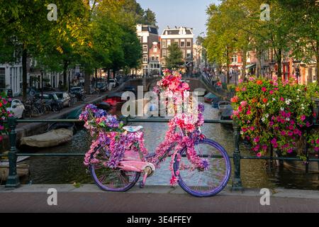 Amsterdam, Paesi Bassi - 19 settembre 2024 - bicicletta Vintage Pink Flower Decorated Amsterdam. Vecchia bicicletta d'epoca decorata con fiori rosa pendenti Foto Stock