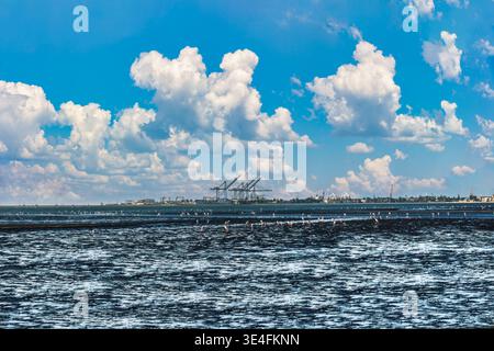 Vista costiera dello skyline del porto di Walvis Bay con grandi gru navali e un lontano porto industriale attraverso la laguna sotto un cielo blu brillante Foto Stock
