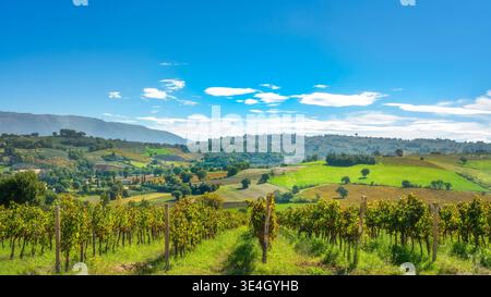 Vista panoramica dei vigneti del Sagrantino con il borgo storico di Montefalco sulla cima della collina. Paesaggio rurale in provincia di Perugia, Umbria Foto Stock