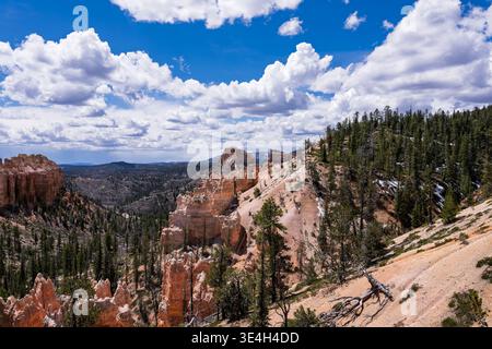 Il terreno accidentato e le viste infinite del Bryce Canyon National Park nello Utah meridionale Foto Stock