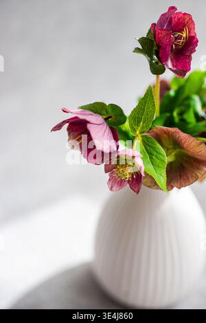 Elegante primo piano di fiori di primavera viola in un vaso in ceramica bianca, luce naturale soffusa e sfondo grigio pulito con spazio di copia, sti minimale Foto Stock