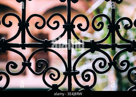 Primo piano di barre d'acciaio vintage per la sicurezza delle finestre con ornati scorrevoli, sagomati su un cortile leggermente sfocato. Dettagli architettonici classici e Foto Stock