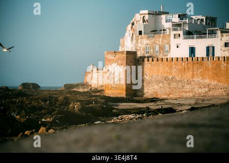 Bastioni in pietra dorata e mura fortificate della medina di Essaouira, Marocco, che si affacciano sulla costa atlantica con costa rocciosa, edifici imbiancati e cl Foto Stock