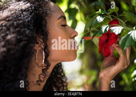Primo piano laterale di una giovane donna con capelli ricci che odorano delicatamente un fiore di ibisco rosso, circondato da foglie verdi lussureggianti in una calda luce naturale. Foto Stock