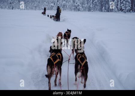 Gli avventurieri esplorano il meraviglioso paese delle meraviglie invernali di Akaslompolo in slitta trainata da cani, con un team di husky entusiasti che conducono la strada attraverso la neve profonda in Lapponia, Finlandia Foto Stock