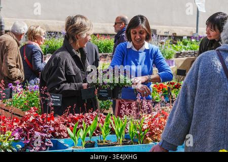 Milano, Italia. 28 marzo 2026. Floralia, fiera floreale in Piazza San Marco, Milano (Italia) 28 marzo 2026 (foto Claudio Furlan/LaPresse) Floralia, fiera dei fiori in Piazza San Marco, Milano (Italia) 28 marzo 2026 (foto: Claudio Furlan/LaPresse) crediti: LaPresse/Alamy Live News Foto Stock