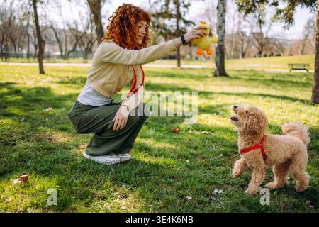 Donna allegra che passa del tempo con un cane simpatico e giocoso nel parco Foto Stock