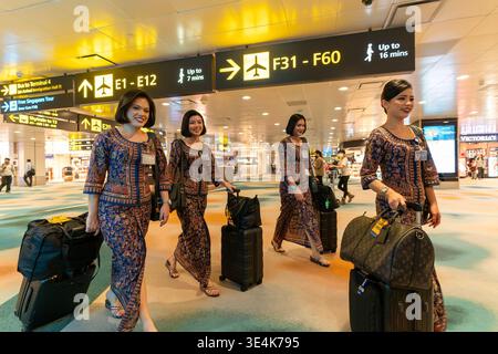 Singapore - 9 dicembre 2025: Diversi membri dell'equipaggio di cabina della Singapore Airlines attraversano l'aeroporto di Changi, ciascuno con bagagli rotabili. Foto Stock