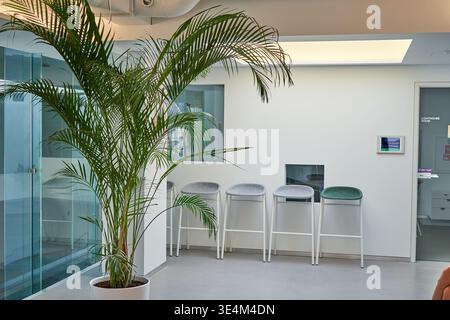 Un moderno e minimalista interno per ufficio caratterizzato da una grande palma in vaso in un contenitore bianco posizionato in primo piano accanto a un trasparente Foto Stock
