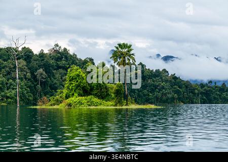 Una piccola isola coperta da una fitta vegetazione tropicale sorge da acque calme, circondata da nebbie che attraversano le colline boscose. Foto Stock
