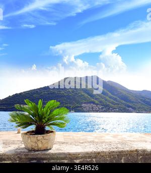Vista pittoresca del mare Adriatico e delle piante tropicali in un vaso di pietra, Perast, Montenegro. Splendido paesaggio marino con montagne. Argomento delle vacanze estive, t Foto Stock