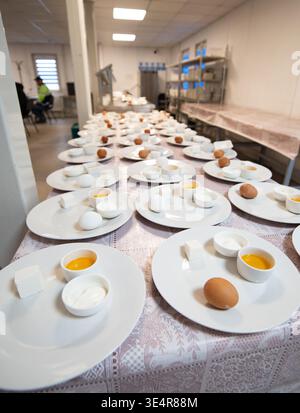 Un gran numero di piatti per la colazione per bambini a scuola o dipendenti di aziende. Su un piatto di uova, miele, formaggio e formaggio fresco Foto Stock