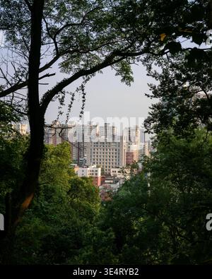 Vista distante dello skyline moderno della città e dei fitti edifici di appartamenti, incorniciati da una fessura di alberi dalla silhouette scura da un alto punto panoramico. Il rappresentante della scena Foto Stock