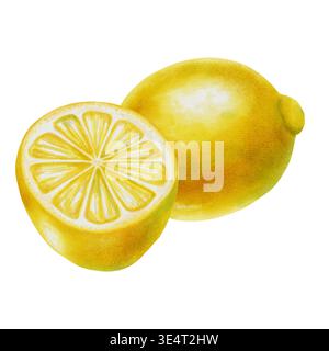 Composizione di acquerelli al limone con frutta intera, fette. Illustrazione botanica disegnata a mano isolata su bianco. Perfetto per tessuti, carta da parati e imballaggi Foto Stock