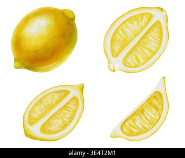 Set di acquerelli di limoni freschi. Include limoni interi, metà e fette rotonde, isolate su sfondo bianco. Vibranti elementi agrumati per il cibo desi Foto Stock
