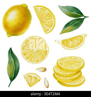 Set di acquerelli di limoni freschi. Include limoni interi, metà e fette arrotondate, foglie e scorza. Elementi vibranti di agrumi per la progettazione, il confezionamento di alimenti, Foto Stock
