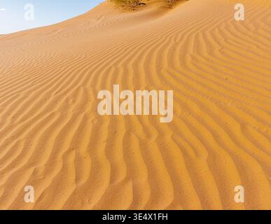 Motivi soffiati dal vento nelle dune di sabbia di Algodones, Imperial Sand Dunes National Recreation area, California, Stati Uniti Foto Stock