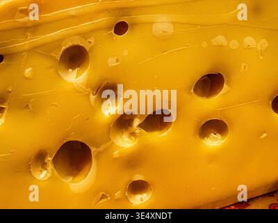 Il formaggio svizzero Emmenthaler è perforato con fori che si creano durante il processo di invecchiamento. Foto Stock