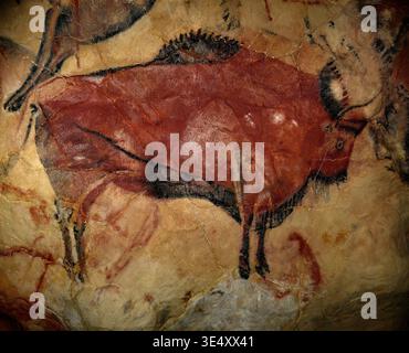 8299. Dipinto di un bisonte, circa 12.000 anni, dalla Grotta di Altamira situata vicino a Santillana del Mar in Cantabria, Spagna. incontri Foto Stock