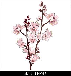 Fiori in fiore primaverile ramificano i ciliegi Sakura Illustrazione Vettoriale