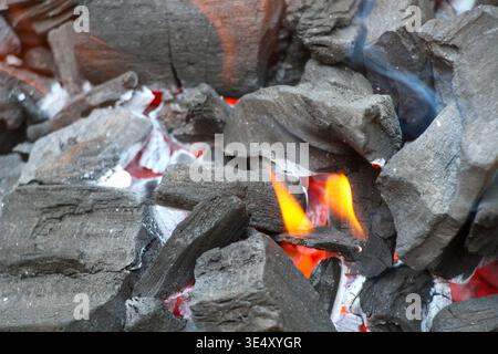 Bricchette di carbone che bruciano con fiamme arancioni brillanti e brace calde, producono calore intenso per grigliare barbecue sul retro, campeggi, e. Foto Stock