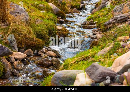 Primo piano di un piccolo ruscello limpido con acqua dolce che scorre su rocce coperte di muschio e circondate da erba verde. Foto Stock