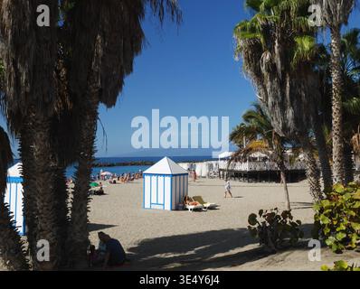 Playa del Duque, Costa Adeje, Tenerife, Isole Canarie, Spagna. Foto Stock