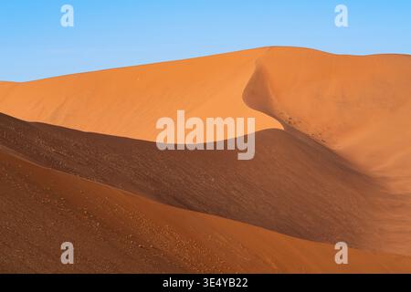 Cresta di dune su Big Daddy Dune, Sossusvlei Namibia Foto Stock