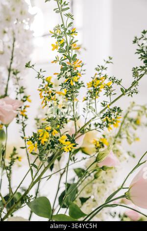 Delicati fiori selvatici gialli e verde in una luce soffusa e ariosa Foto Stock