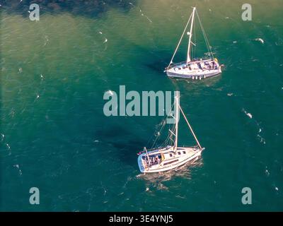 Vista aerea di due barche a vela che navigano sulle acque turchesi dell'Oceano Atlantico con persone sul ponte a Cascais, Portogallo. Foto Stock