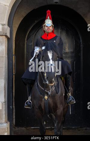 Mounted Blues and Royals Trooper del Household Cavalry Mounted Regiment in servizio alle Horse Guards nella City of Westminster, Londra, Regno Unito Foto Stock