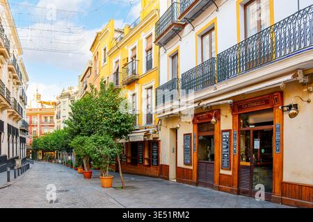 Aranci, negozi e caffetterie lungo Calle Argote de Molina, una strada pittoresca nello storico quartiere Barrio Santa Cruz di Siviglia, Spagna. Foto Stock