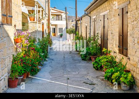 Piante in vaso fiancheggiano entrambi i lati di una stretta strada nel villaggio medievale di montagna di Omodos, vicino a Limassol, sull'isola mediterranea di Cipro. Foto Stock