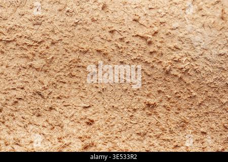 Questa foto macro rivela i dettagli intricati della pelle a grana naturale e imperfezioni, perfetta per gli sfondi Foto Stock