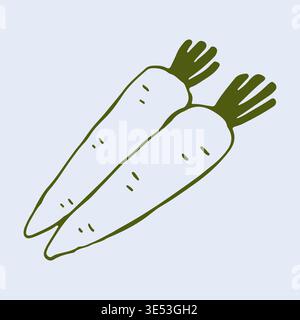 Grafica vettoriale disegnata a mano di due carote fresche con sommità verdi. Questa semplice illustrazione vegetale è perfetta per il confezionamento di alimenti biologici e. Illustrazione Vettoriale